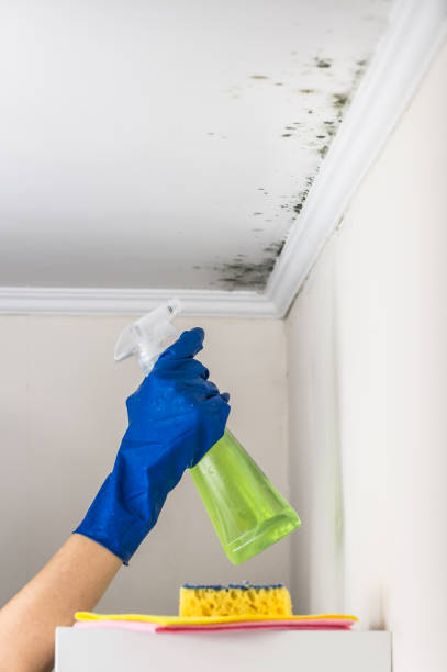Best Mold Testing  in Trevorton, PA